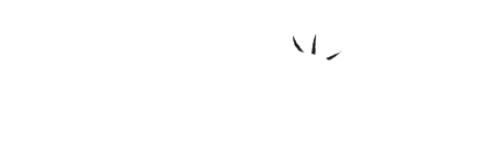 Humble Book Bundle: Essential Cookbooks by Williams Sonoma
