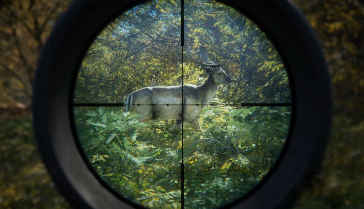 theHunterâ„¢: Call of the Wild
