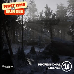 針葉林生態環境(北方森林、冬季森林、苔原生態) (Unreal Engine)