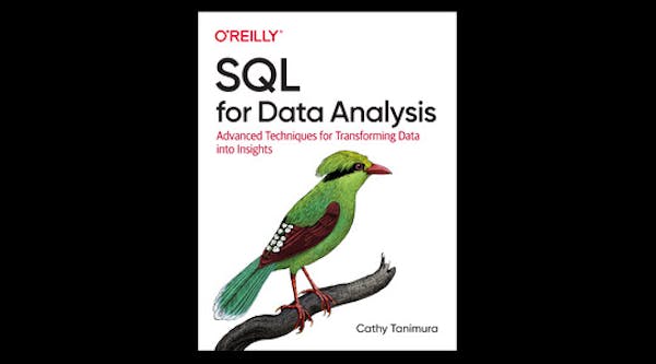 用於資料分析的 SQL