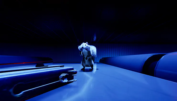 Squirrel with a Gun 4 7a8f455d8dd159161b6e3ea1889b6bf49a62d389