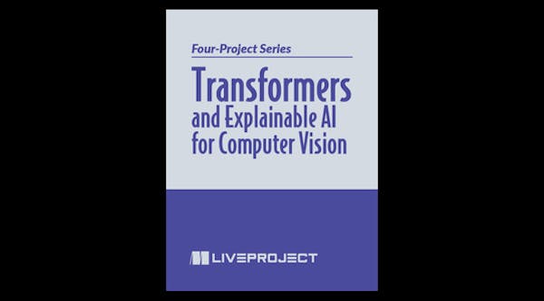Transformers 與可解釋人工智慧在電腦視覺中的應用:4 個專案系列
