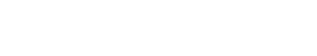 LOST SKIES